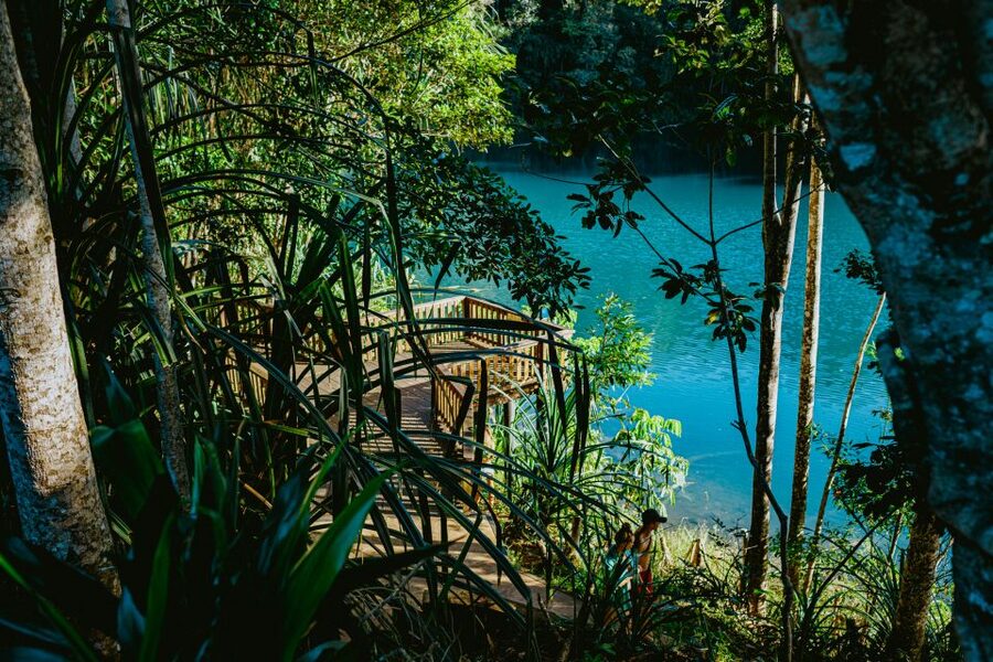 Cairns: Waterfall Tour with Lunch - What the $101 price really covers