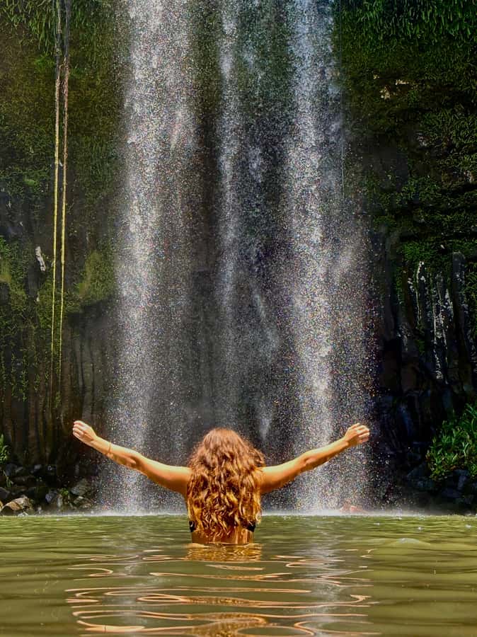 Cairns: Waterfall Tour with Lunch - Cathedral Fig Tree and the rainforest’s older story
