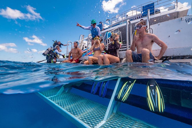 Calypso Outer Great Barrier Reef Cruise from Port Douglas - Key points at a glance