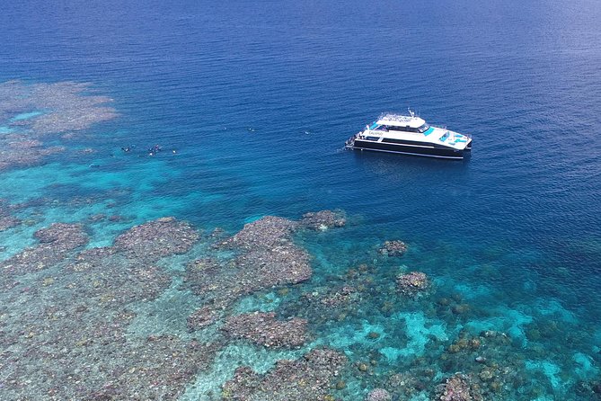 Calypso Outer Great Barrier Reef Cruise from Port Douglas - Three reef sites from Port Douglas