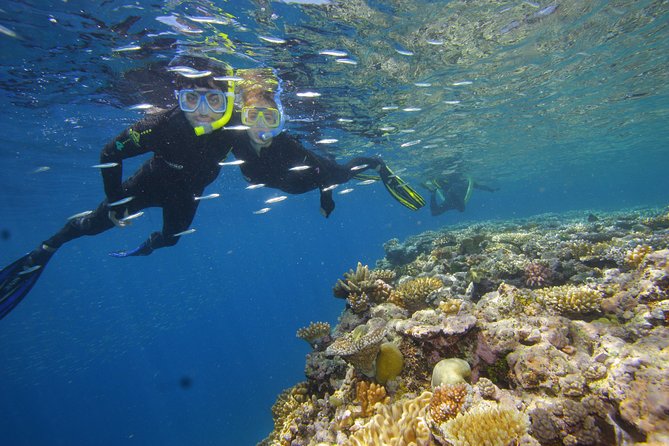 Calypso Outer Great Barrier Reef Cruise from Port Douglas - Lunch, tea, and life between snorkel sessions