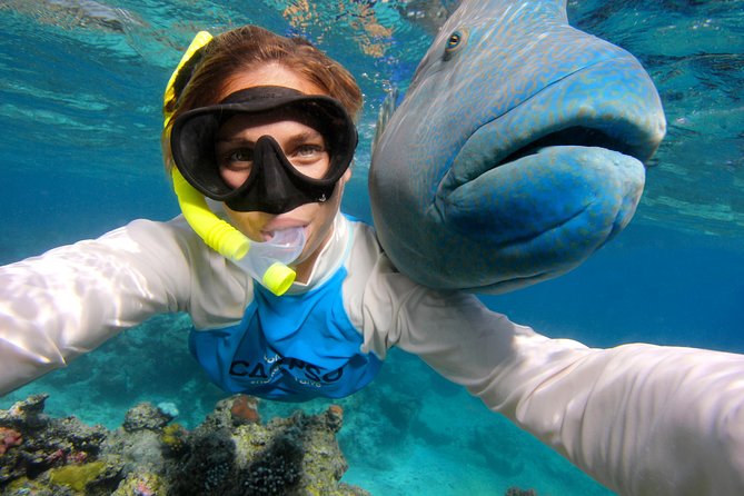 Calypso Outer Great Barrier Reef Cruise from Port Douglas - Crew support and onboard comfort
