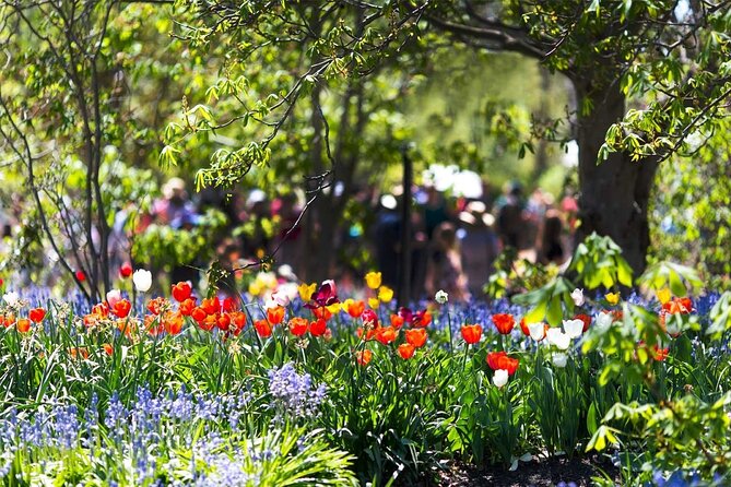 Canberra Day Trip from Sydney - Time management: the real tradeoff