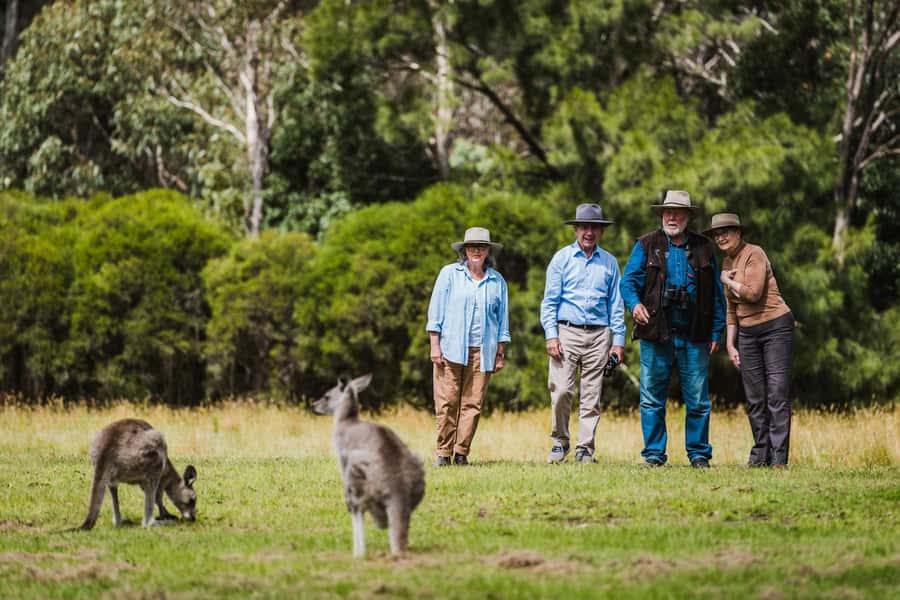 Canberra: Kangaroos and Koala Experience Tour - Pickup Times and the Drive Beyond Canberra