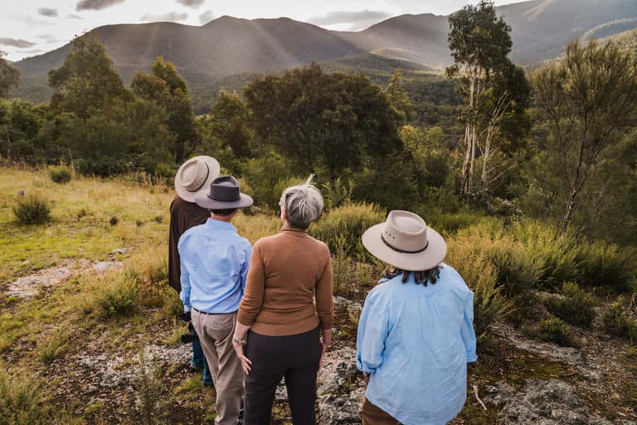 Canberra: Kangaroos and Koala Experience Tour - Photography Without Losing the Moment