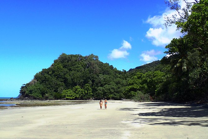 Cape Tribulation Day Tour from Cairns - Why the Daintree works best with a guide