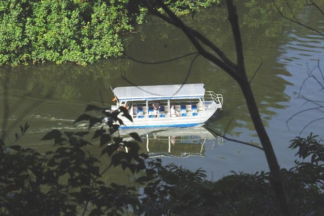 Cape Tribulation Day Tour from Cairns - Cape Tribulation Beach and the rainforest