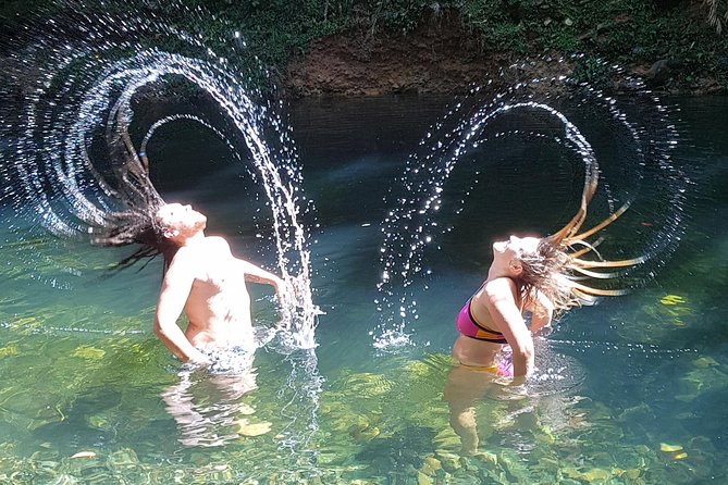 Cape Tribulation Day Tour from Cairns - Food, timing, and the $157.08 value