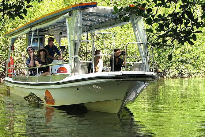 Cape Tribulation, Mossman Gorge and Daintree Rainforest Day Tour - Mossman Gorge: granite, rainforest, and cold water
