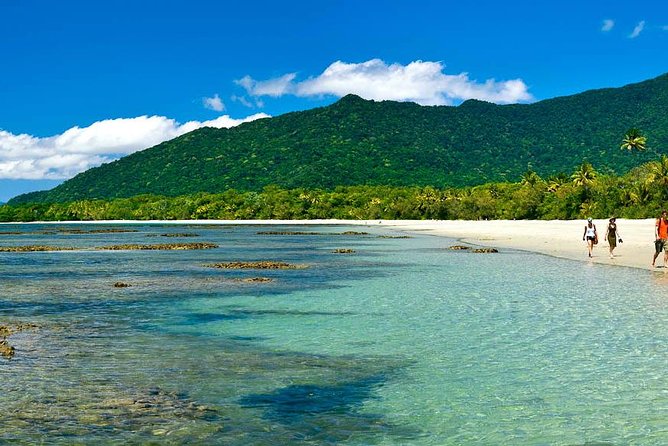 Cape Tribulation, Mossman Gorge and Daintree Rainforest Day Tour - Through the Daintree to Cape Tribulation