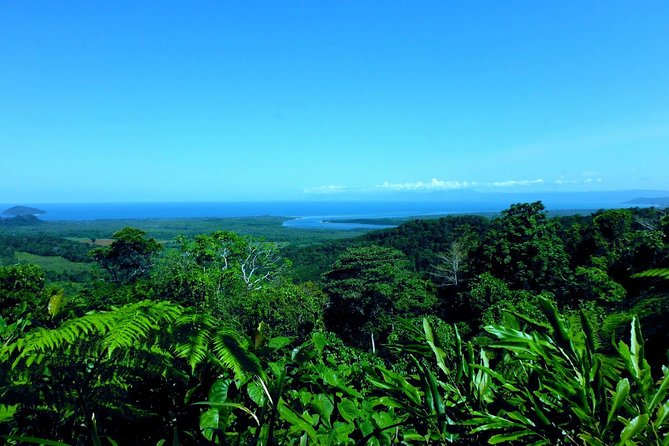 Cape Tribulation, Mossman Gorge and Daintree Rainforest Day Tour - Ice cream and Alexandra Lookout