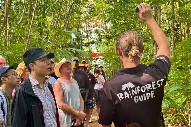 Cape Tribulation, Mossman Gorge, and Daintree Rainforest Day Trip - The coach ride is part of the experience