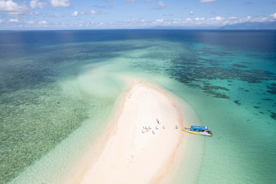 Cape Tribulation Ocean Safari - Great Barrier Reef Adventure - Key points to know before booking