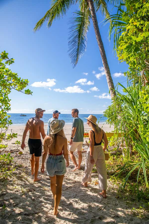 Cape Tribulation Ocean Safari - Great Barrier Reef Adventure - Starting at Turtle Rock Café in Cape Tribulation