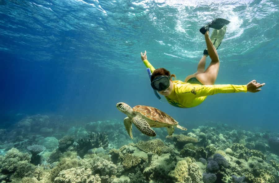 Cape Tribulation Ocean Safari - Great Barrier Reef Adventure - Two Mackay Reef sites, not one quick look