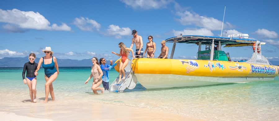 Cape Tribulation Ocean Safari - Great Barrier Reef Adventure - Equipment, fees, and the real value of $146