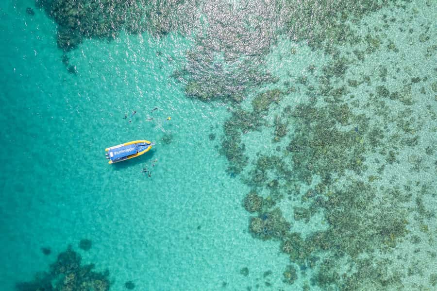 Cape Tribulation Ocean Safari - Great Barrier Reef Adventure - A fast 25-minute run across the reef water