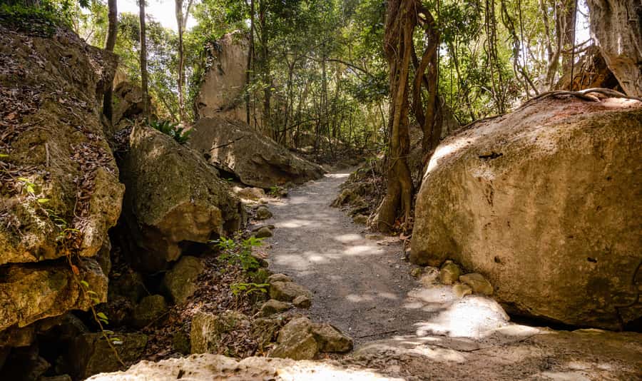 Capricorn Caves, Australia: 45-Minute Cathedral Cave Tour - Why Capricorn Caves is worth a stop near Rockhampton