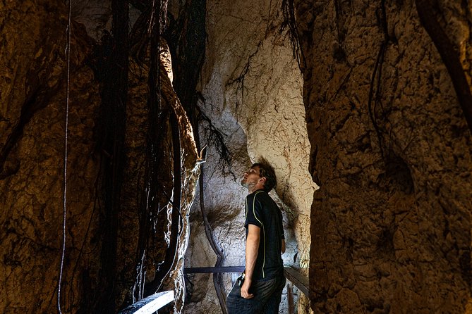 Capricorn Caves Cathedral Cave Tour - Price, timing, and the self-drive tradeoff