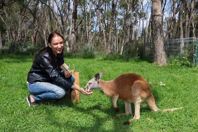 Cleland Wildlife Park Experience - from Adelaide including Mt Lofty Summit - Mt Lofty Summit and the Adelaide view
