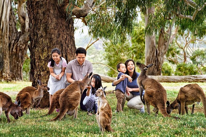 Cleland Wildlife Park Experience - from Adelaide including Mt Lofty Summit - What the $88.94 price includes