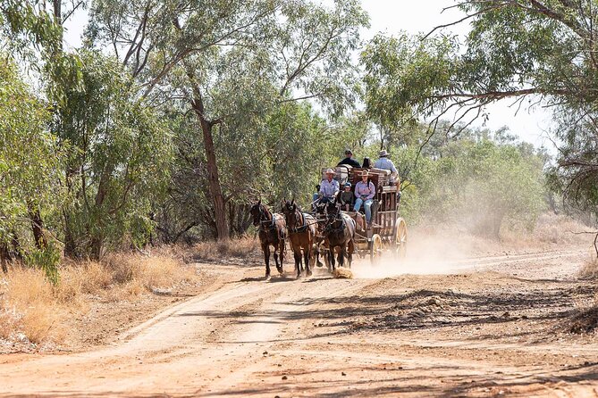 Cobb & Co Stagecoach Experience in Longreach - Smoko with scones, jam, cream, and tea