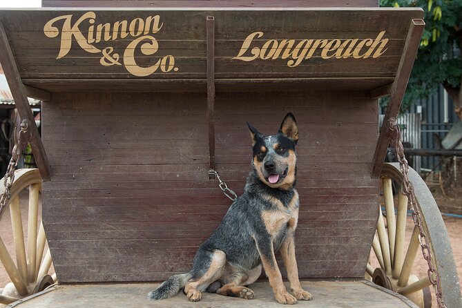Cobb & Co Stagecoach Experience in Longreach - How the four-hour program fits together
