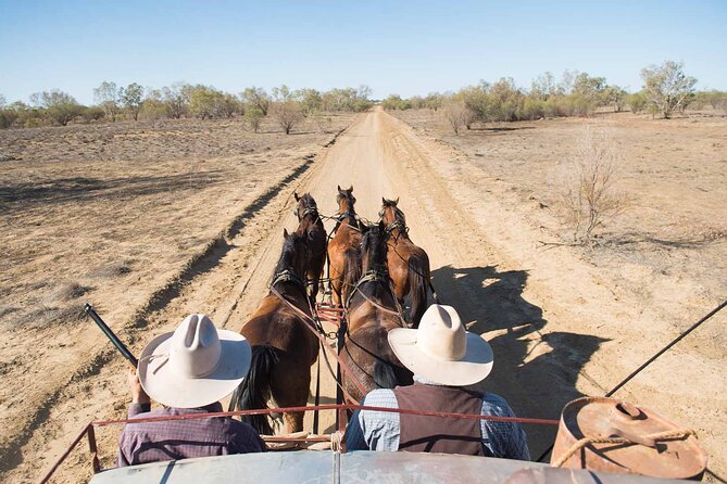Cobb & Co Stagecoach Experience in Longreach - What the $118.35 price gets you