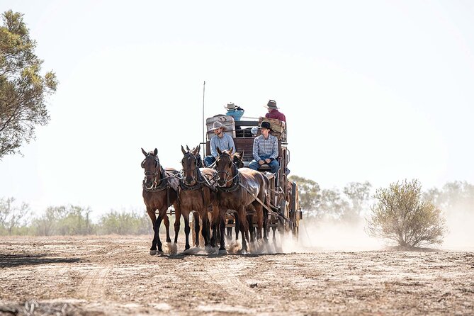 Cobb & Co Stagecoach Experience in Longreach - The stagecoach ride is the main event