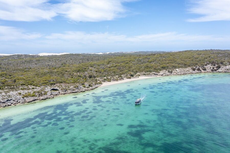Coffin Bay: Oyster Farm Boat Tour with Wading & 12 Oysters - Twelve oysters, shucked on the boat