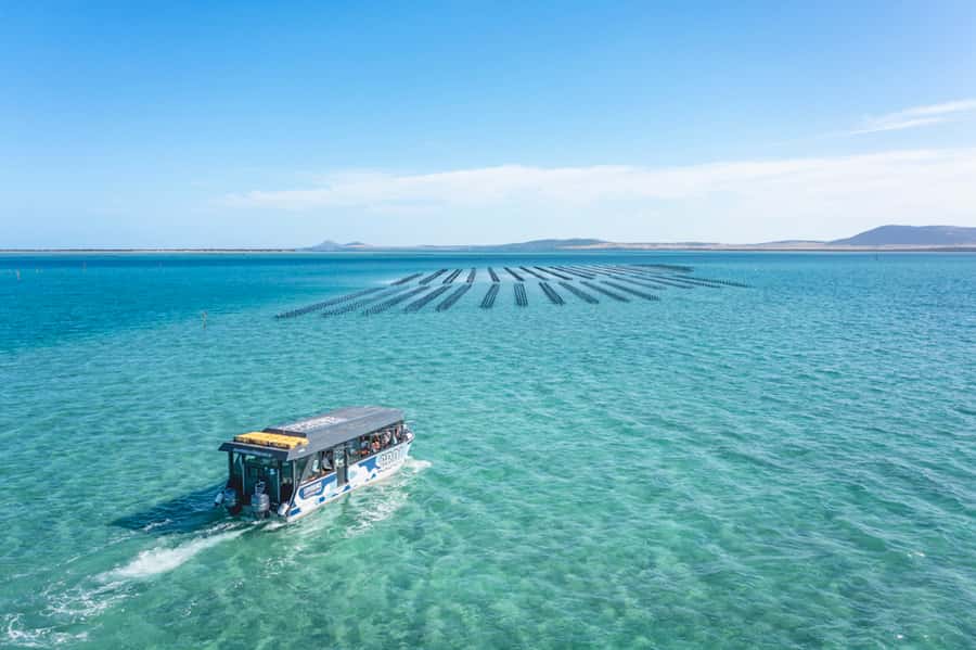 Coffin Bay: Oyster Farm Boat Tour with Wading & 12 Oysters - How the three hours are divided