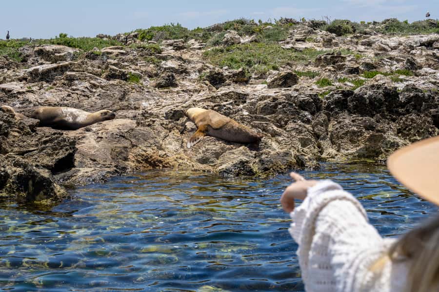Coffin Bay: Oyster Farm Boat Tour with Wading & 12 Oysters - Is $130 good value?
