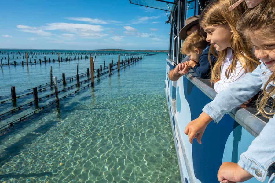 Coffin Bay: Oyster Farm Boat Tour with Wading & 12 Oysters - What to bring and how to dress