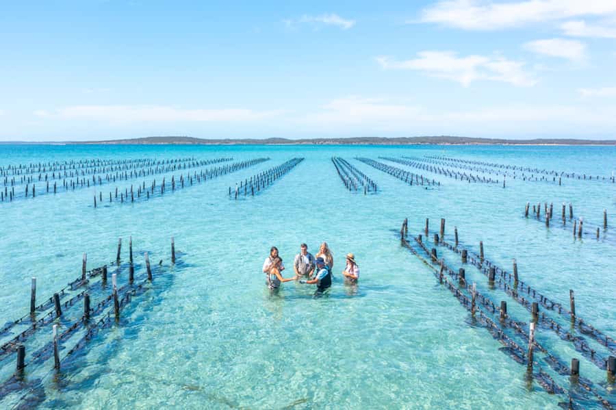 Coffin Bay: Oyster Farm Boat Tour with Wading & 12 Oysters - Crossing 16 kilometres of clear bay water