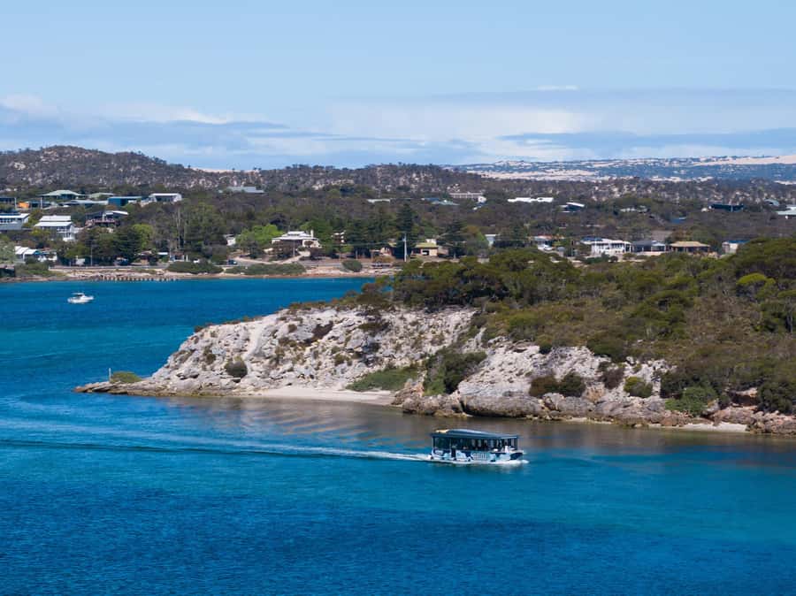Coffin Bay: Short and Sweet Oyster Farm Tour - Why Coffin Bay is the right place for an oyster tour