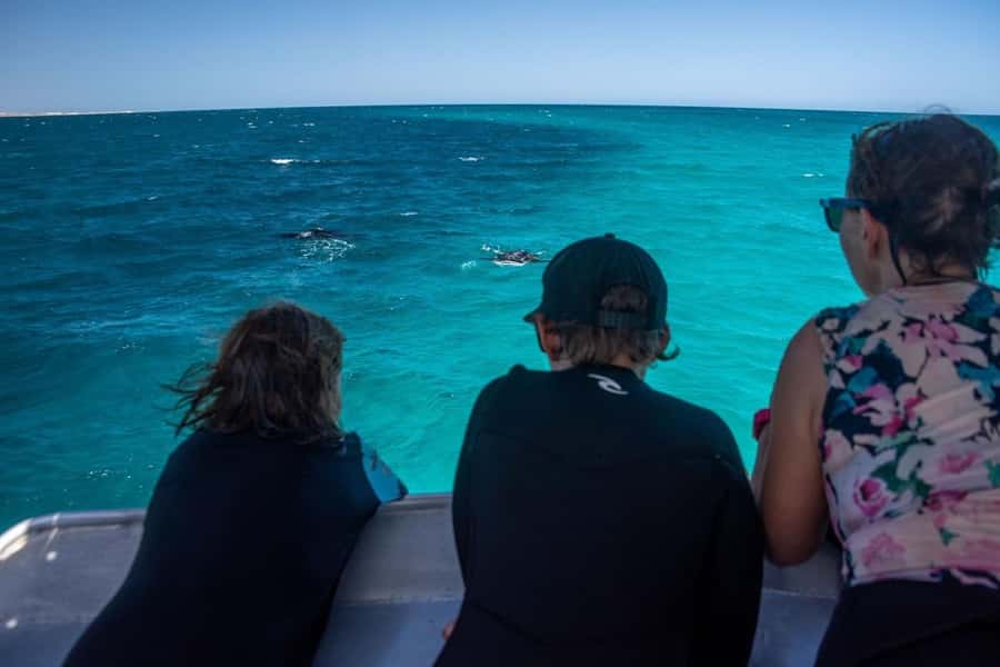 Coral Bay: Full Day Ningaloo Reef with Manta Rays Tour - Support for nervous swimmers and first-time snorkelers