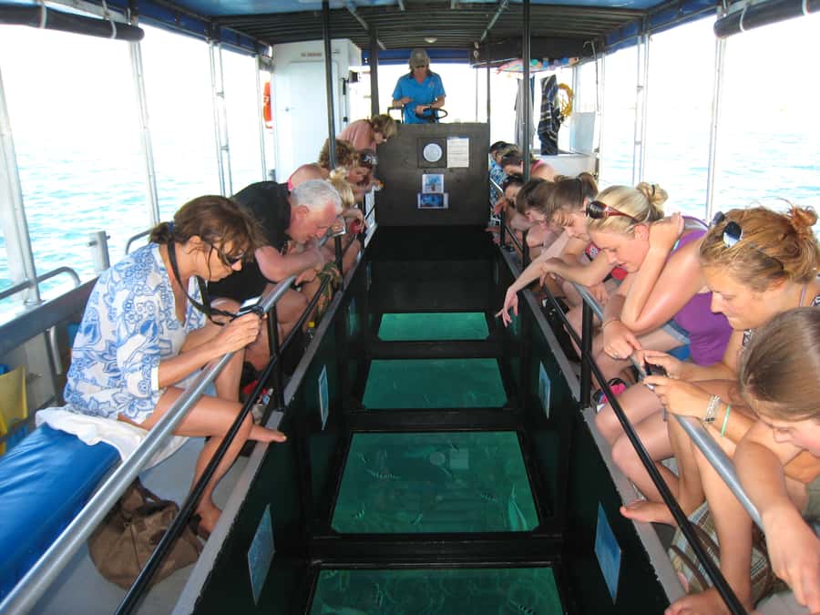 Coral Bay Glass-Bottom Boat Tour - Key details before you book