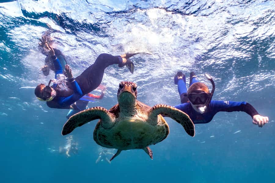 Coral Bay: Marine Eco Safari - Swim With Manta Rays - Key points to know before you book