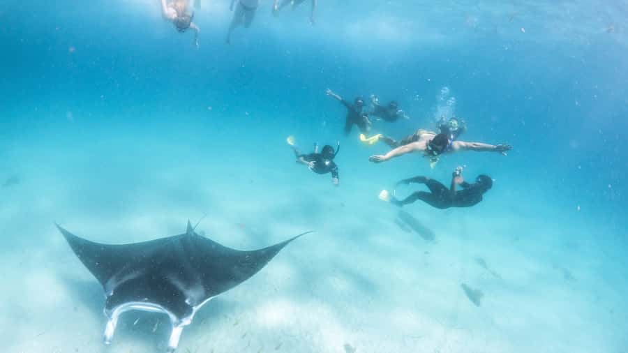 Coral Bay: Marine Eco Safari - Swim With Manta Rays - Bills Bay offers the first reef lesson