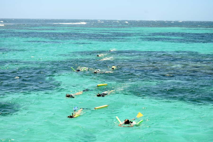 Coral Bay: Ningaloo Reef 3-Hour Turtle Ecotour - What the three-hour Coral Bay tour is really like
