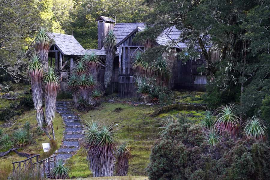 Cradle Mountain: Day Trip from Launceston with Lunch - Key points to know before booking