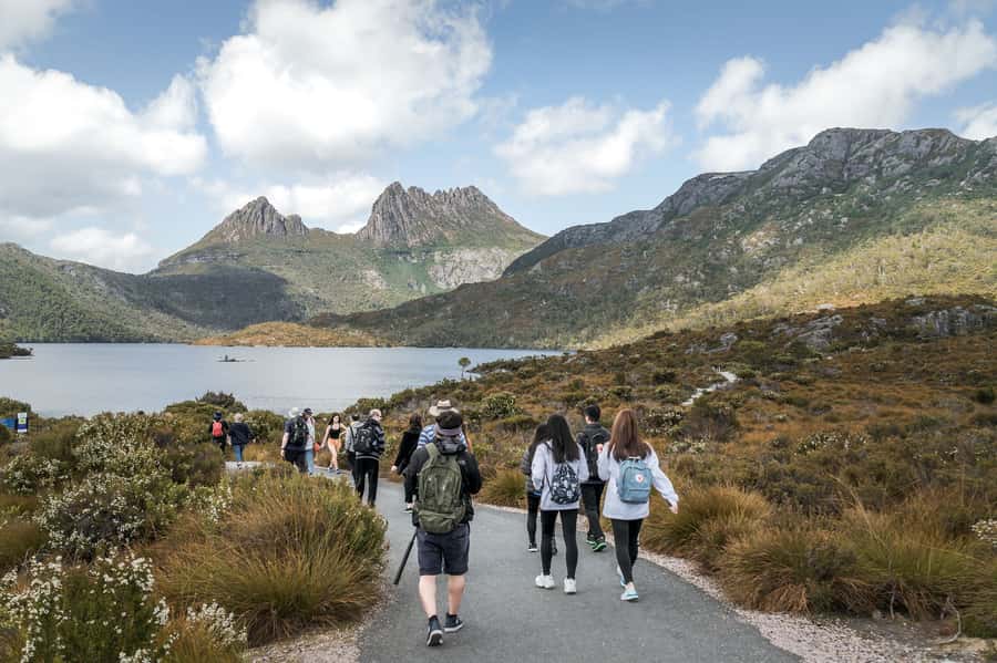 Cradle Mountain National Park by Coach from Launceston - Sheffield, the town of murals