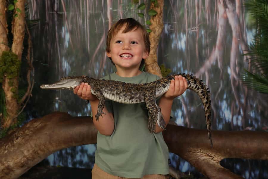 Crocosaurus Cove General Admission Ticket - The optional crocodile swim