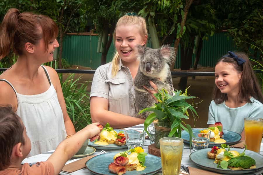 Currumbin Wildlife Sanctuary Entry Ticket - Key things to know before you go