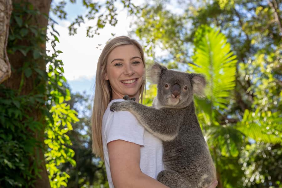 Currumbin Wildlife Sanctuary Entry Ticket - Start with the map and the daily schedule