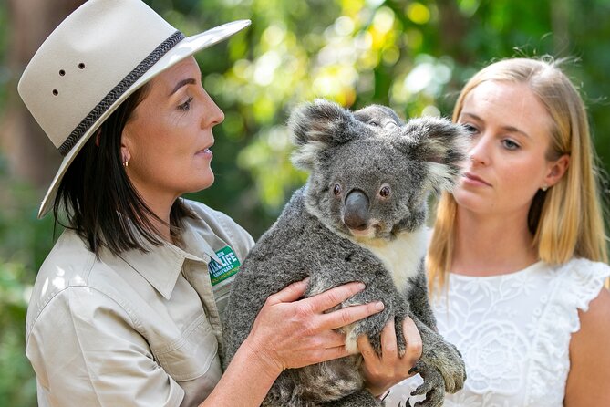 Currumbin Wildlife Sanctuary General Entry Ticket - Lost Valley takes you into an older world