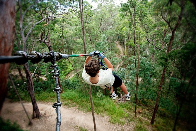 Currumbin Wildlife Sanctuary General Entry Ticket - The bird show earns top billing