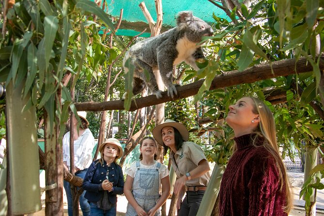 Currumbin Wildlife Sanctuary General Entry Ticket - Lorikeet feeding is the can’t-miss moment