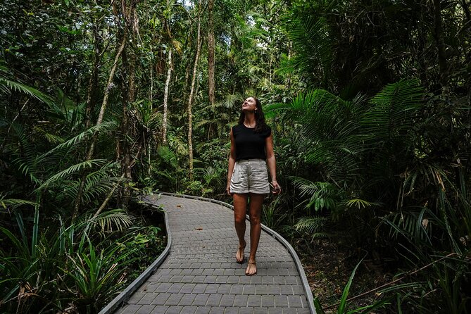 Daintree, Cape Tribulation & River Cruise from Port Douglas - Lunch beside Cooper Creek