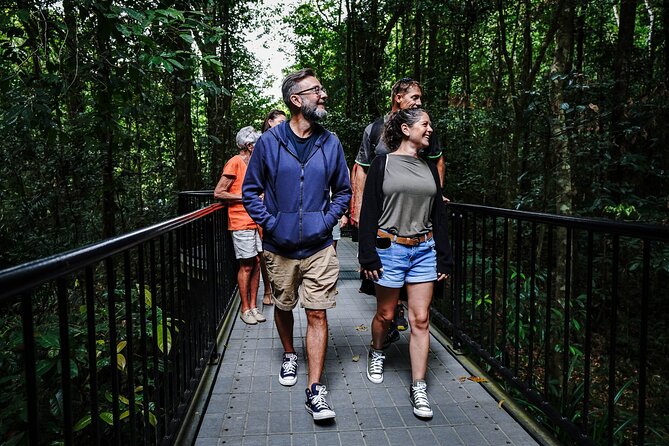 Daintree, Cape Tribulation & River Cruise from Port Douglas - A swim in crocodile-free Cooper Creek
